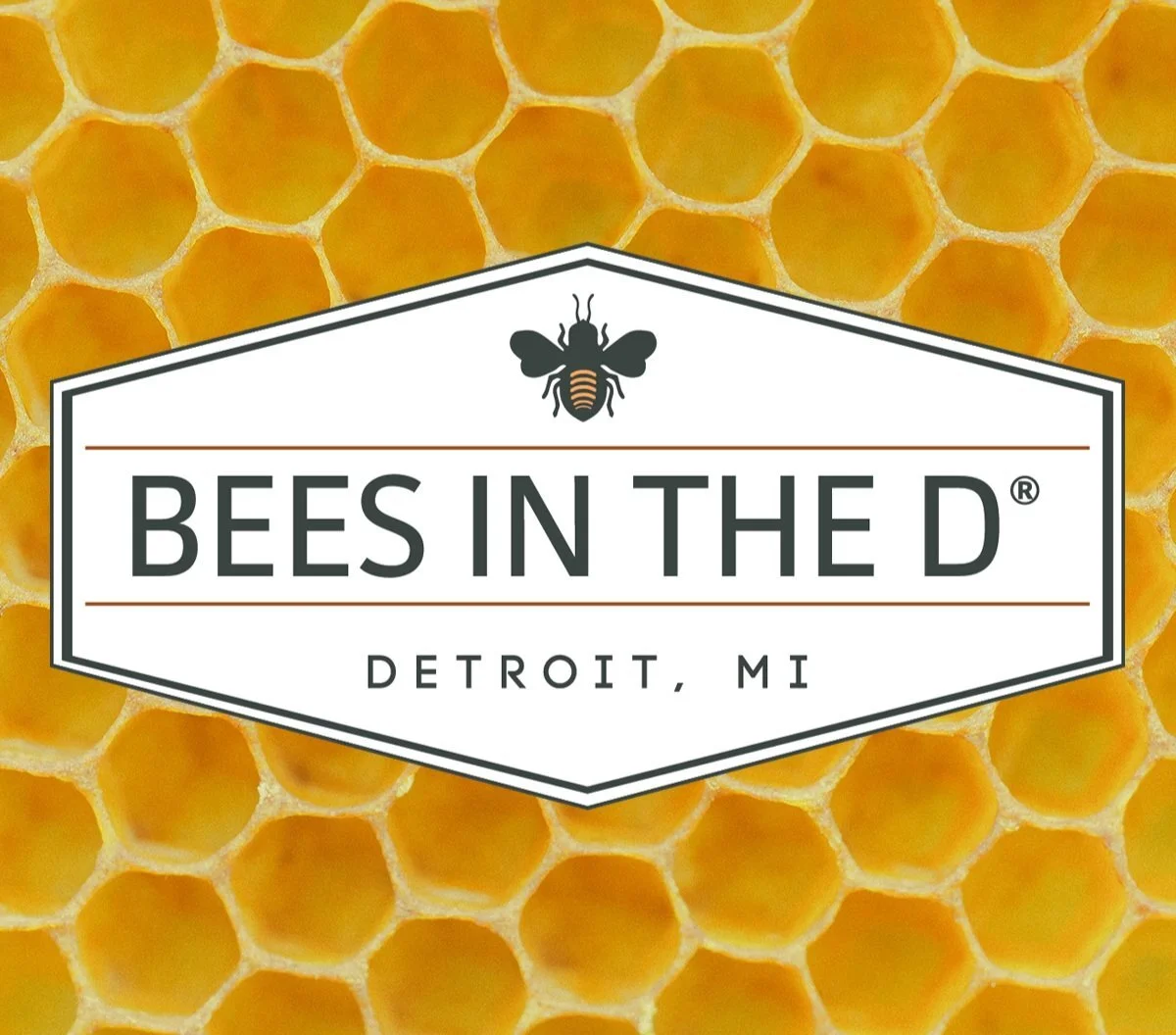 Bees in the D l